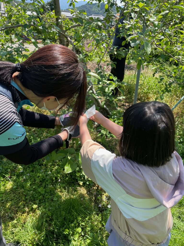 GWリンゴの花サイクリング